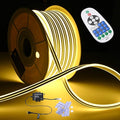 DELight AC 110-120V Waterproof IP65 Cozy 2700K Warm White 100ft Railing Neon Rope Lights with Remote Control Dimmable Cuttable Flexible LED Strip Lights Outdoor Patio Retro Vibe DEL-D100W