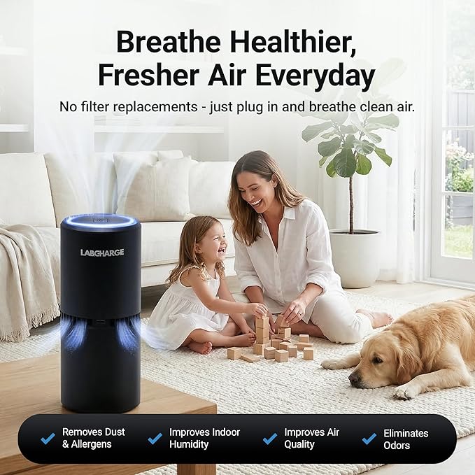 LabCharge Small Ionic Air Purifier for Home & Bedroom – Silent HEPA Filter – Covers 250 Sq Ft - Free Cleaner for Pets, Hair, Smoke, Dust, Odors & Dander – Compact & Black Design - Pack of 2