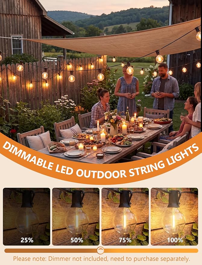 LED Outdoor String Lights, 25Ft G40 Globe Patio String Light Waterproof with 27 LED Warm White Bulbs, Hanging Outdoor Lights for Backyard Garden Porch Bistro Wedding Party Holiday Decor, Black Wire