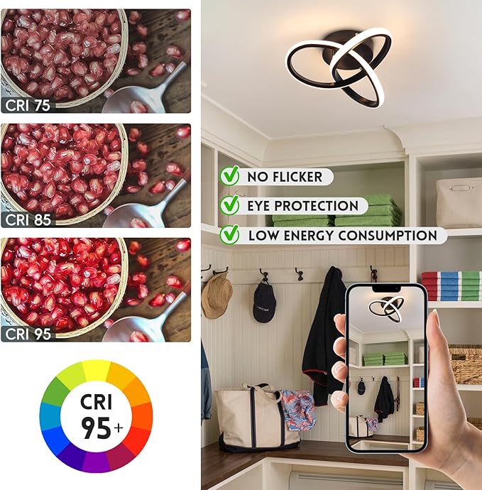 CANEOE Black Hallway Ceiling Light Fixtures 24W Dimmable LED Ceiling Light with Remote Control Modern Flush Mount Ceiling Lights for Bedroom Bathroom Kitchen Balcony Stair Aisle Ceiling Lamp