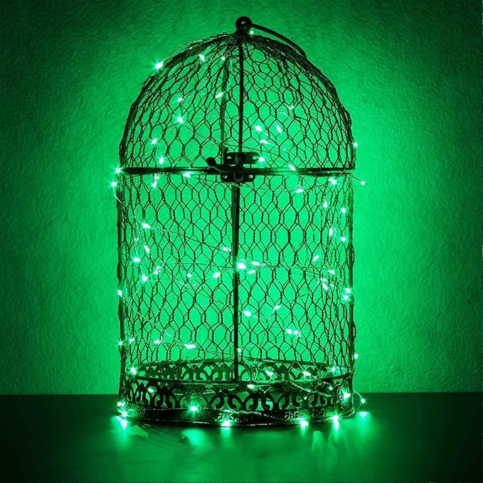 RUICHEN Silver Wire Fairy Lights Plug in 33 Ft 100 LED String with Spool, Green