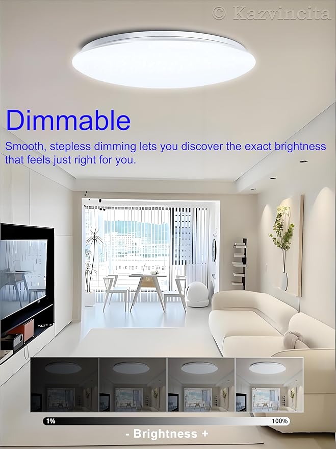 Dimmable Round LED Ceiling Light Flush Mount 16 Inch 50W Built-in Bluetooth Speaker Modern Lighting Fixtures RGB Ambient Ceiling Lamp Suitable for Bedrooms Kitchen Kids' Rooms and More