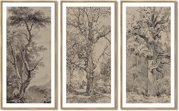 KUVIOKE Vintage Sketch Trees Drawings Farmhouse Rustic Framed Wall Art for Living Room Bedroom Ready to Hang 8x16in3pcs Natural Framed