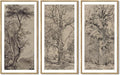 KUVIOKE Vintage Sketch Trees Drawings Farmhouse Rustic Framed Wall Art for Living Room Bedroom Ready to Hang 8x16in3pcs Natural Framed