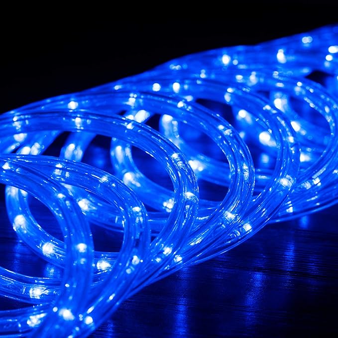 WYZworks 216LEDs, 20ft LED Outside Rope Lights, Waterproof Permanent Outdoor ETL Certified Connectable Clear Tube, Christmas Palm Tree Holiday Decorative Landscape Patio Accent Lighting - Blue