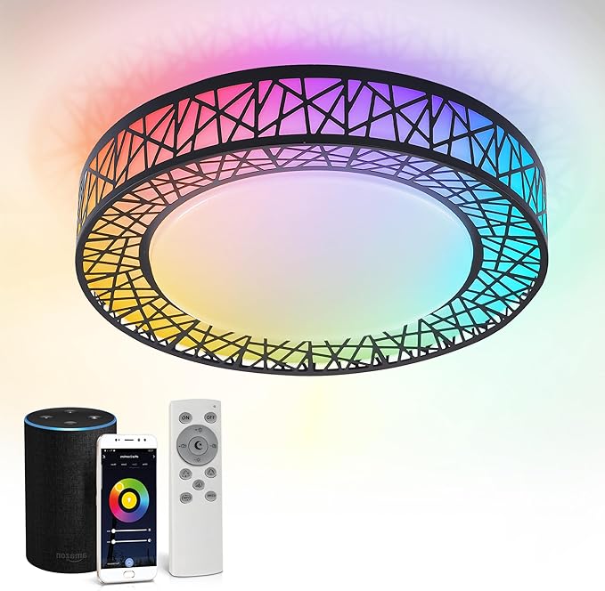 ASD 16 Inch Smart RGBW Flush Mount Ceiling Light with Remote - Matte Black 28W 120V 2700-6500K Dimmable Ceiling Light Fixture, WiFi App Control RGB Lights, Alexa & Google Assistant - ETL