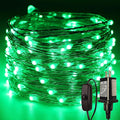 RUICHEN Plug in Fairy Lights with Switch, Waterproof 33 Ft 100 LED Silver Wire Starry String Firefly Lights for Christmas, Halloween, St. Patrick's Day, Parties, Ceiling, Vases, Craft, Green