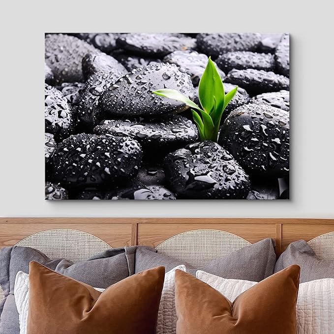 wall26 Canvas Print Wall Art Raindrops on Black Rocks with Sprouting Plant Floral Nature Photography Realism Bohemian Scenic Relax/Calm Cool for Living Room, Bedroom, Office - 32"x48"