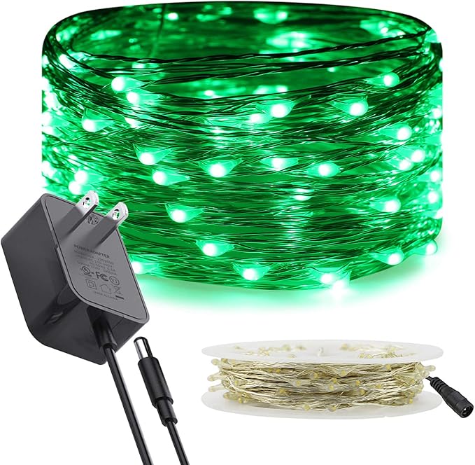 RUICHEN Silver Wire Fairy Lights Plug in 33 Ft 100 LED String with Spool, Green
