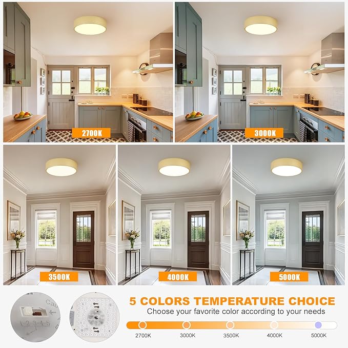 Dimmable LED Ceiling Light, 5CCT Modern Round Close to Ceiling Lighting Fixtures, Minimalist Gold Ceiling Lamp for Bedroom, Hallway, Laundry Room,11.8 inch