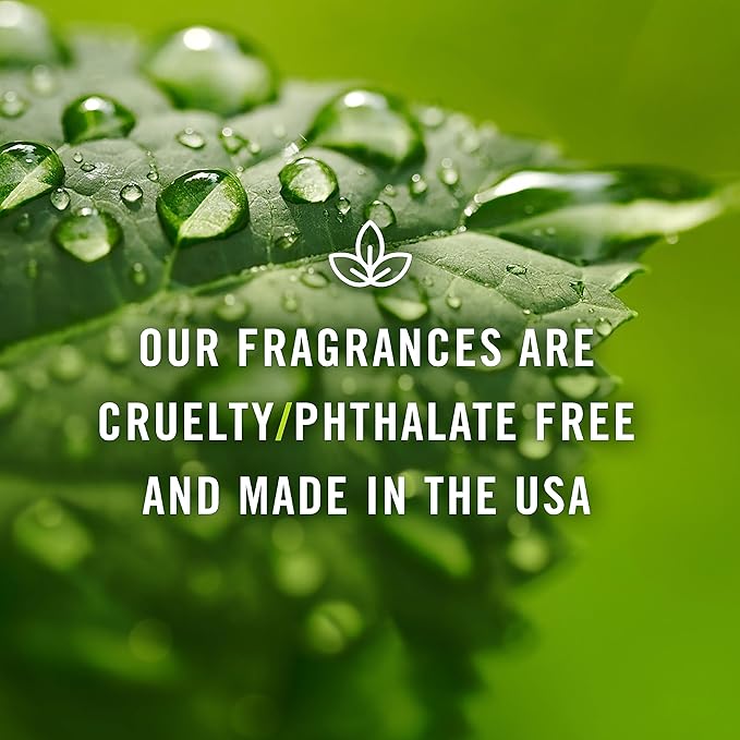 P&J Fragrance Oil | Orangesicle Oil 100ml - Candle Scents for Candle Making, Freshie Scent, Soap Making Supplies, Diffuser Oil Scents