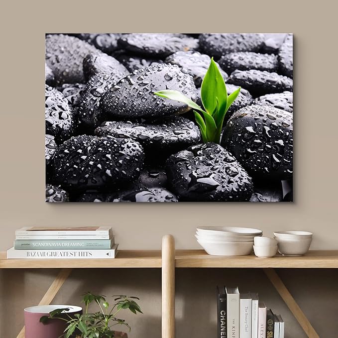 wall26 Canvas Print Wall Art Raindrops on Black Rocks with Sprouting Plant Floral Nature Photography Realism Bohemian Scenic Relax/Calm Cool for Living Room, Bedroom, Office - 12"x18"