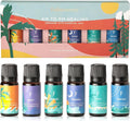 Folkulture Essential Oils Set for Diffuser | Set of 6 Everyday Aromatherapy Oils | Palo Santo, Lavender, Sandalwood, Citrus & Balanced Blend Oils | AM to PM Home Fragrance Oils & Wellness Gift Set