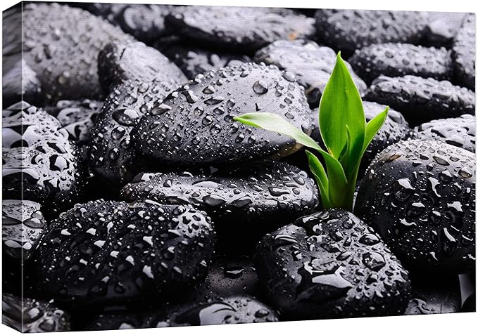 wall26 Canvas Print Wall Art Raindrops on Black Rocks with Sprouting Plant Floral Nature Photography Realism Bohemian Scenic Relax/Calm Cool for Living Room, Bedroom, Office - 12"x18"