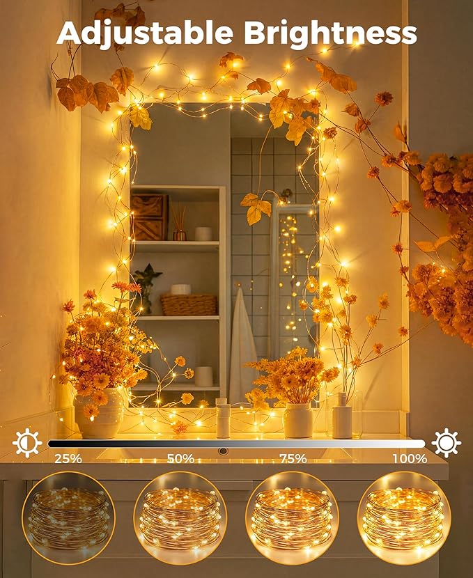 Plug-in Fairy Lights, 33 Ft 100 LED String Light with Remote, 8 Modes, Timer and Dimming Twinkle Lights for Indoor, Bedroom, Party, Decoration, Holiday, Warm White