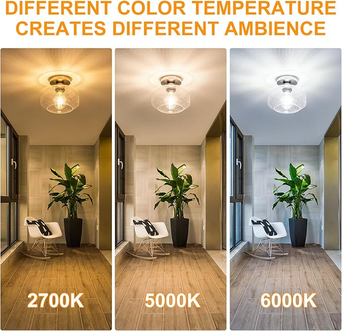 Tbaoinal Semi Flush Mount Ceiling Light Seeded Clear Glass Shade Matal Base Inclede LED Bulb, Low-Profile for Kitchen/Hallway/Entryway/Bathroom,Matte Silver