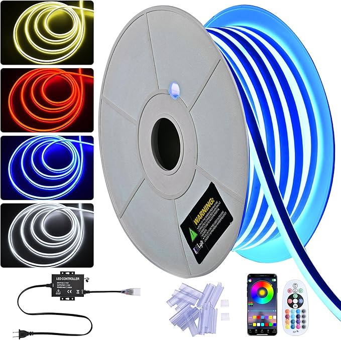 DELight AC 110-120V Waterproof IP65 Food Truck RGB 100ft Neon Rope Lights with Remote Control & APP Music Sync Dimmable Cuttable Flexible LED Strip Lights Outdoor DIY Project DEL-D100R
