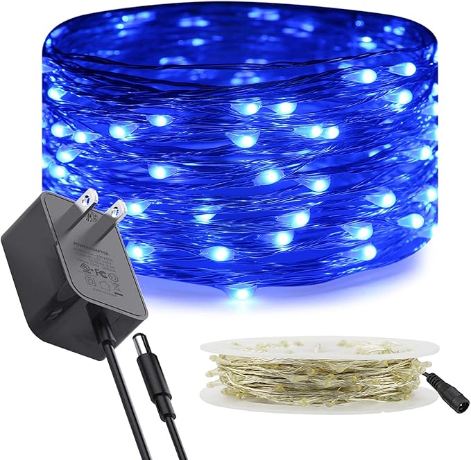 RUICHEN Silver Wire Fairy Lights Plug in 33 Ft 100 LED String with Spool, Blue
