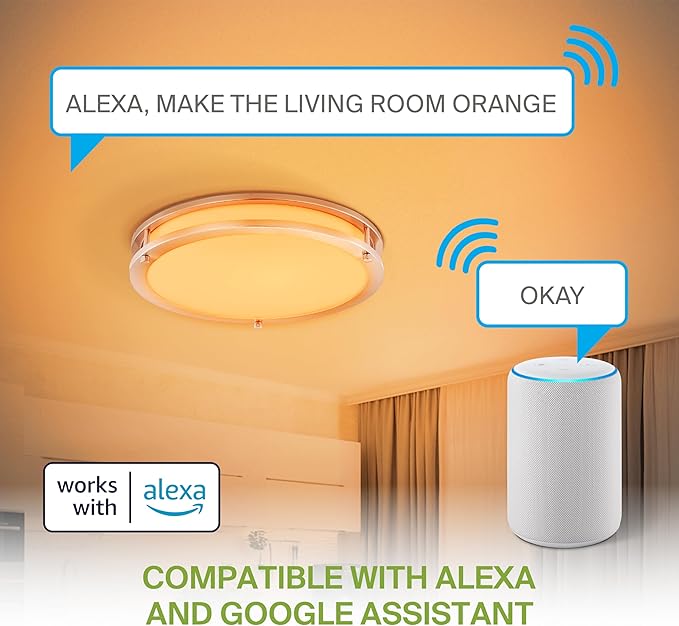 ASD LED 18" Round Flush Mount Lighting, Close to Ceiling Light Fixture | Smart, Multicolor, Dimmable, ETL Listed | 28W 1844LM RGB-2700-6500K 120V | Low Profile Double Ring Lamp | Nickel, 2 Pack