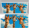 Fluorescent Light Covers for Ceiling Lights -Magnetic Cloud Cover for Fluorescent Or LED Fixture 2ft x 4ft Classroom,Home,Office Decoration Filters Overhead Lighting-Three giraffes