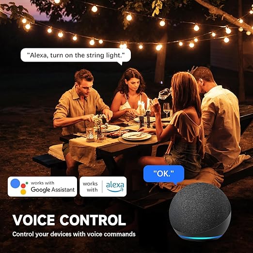 EP Outdoor Smart Plug, Waterproof IP66 WiFi Plug with 2 Individually Sockets, Compatible with Alexa & Google Assistant, Smart Outdoor Outlet for String Lights, UL Certified, Black