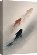 wall26 Canvas Print Wall Art Three Koi Fish Swimming in Misty Water Minimal Photography Realism Rustic Colorful Multicolor for Living Room, Bedroom, Bathroom - 32"x48"