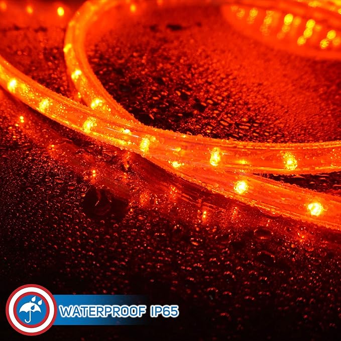 Russell Decor LED Rope Lights for Valentine's Day Holiday Party Wedding Seasonal Christmas Decoration Super Bright and Flexible Lights (Red, 80ft)