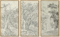 KUVIOKE Vintage Sketch Trees Drawings Farmhouse Wall Art for Living Room Bedroom Ready to Hang 8x16in3pcs Natural Framed