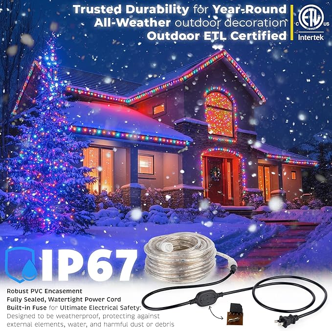 WYZworks 1116LEDs, 100ft LED Outside Rope Lights, Waterproof Permanent Outdoor ETL Certified Connectable Clear Tube, Christmas Palm Tree Holiday Decorative Landscape Patio Accent Lighting - Colorful