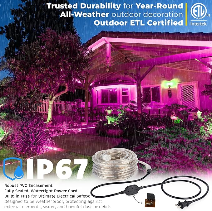 WYZworks 1116LEDs, 100ft LED Outside Rope Lights, Waterproof Permanent Outdoor ETL Certified Connectable Clear Tube, Christmas Palm Tree Holiday Decorative Landscape Patio Accent Lighting - Pink