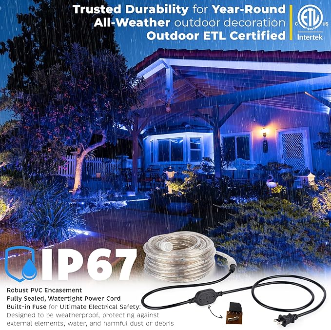 WYZworks 216LEDs 20ft LED Outside Rope Lights, Outdoor ETL Certified Waterproof Permanent 360 Degree Light Emitting, Flexible Tube, Connectable, Christmas Palm Tree Exterior Landscape, Blue