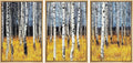 wall26 Framed Aspen Trees Fall Colors - Canvas Art Wall Art - 24"x36"x3 Natural