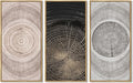 KUVIOKE Vintage Wood Tree Rings Wall Decor Farmhouse Rustic Artwork Living Room Bedroom Art Nature Artwork 8x16in3pcs Natural Framed