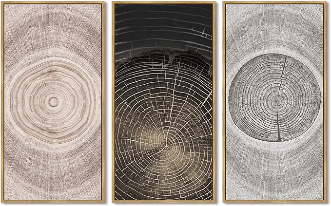 KUVIOKE Vintage Wood Tree Rings Wall Decor Farmhouse Rustic Artwork Living Room Bedroom Art Nature Artwork 8x16in3pcs Natural Framed