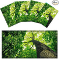 4 Pack Fluorescent Light Covers for Ceiling Lights -Magnetic Cloud Cover for Fluorescent Or LED Fixture 2ft x 4ft Classroom,Home,Office Decoration Filters Overhead Lighting-Towering trees