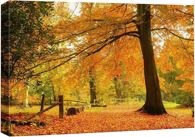 wall26 Canvas Print Wall Art Yellow & Orange Autumn and Fall Forest Floral Nature Photography Realism Rustic Scenic Relax/Calm Multicolor for Living Room, Bedroom, Office - 24"x36"