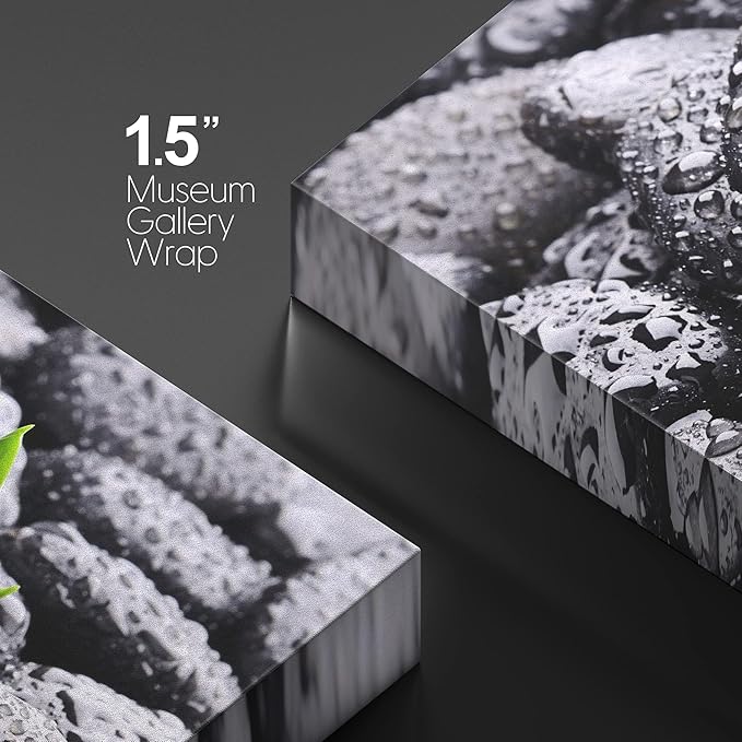 wall26 Canvas Print Wall Art Raindrops on Black Rocks with Sprouting Plant Floral Nature Photography Realism Bohemian Scenic Relax/Calm Cool for Living Room, Bedroom, Office - 32"x48"