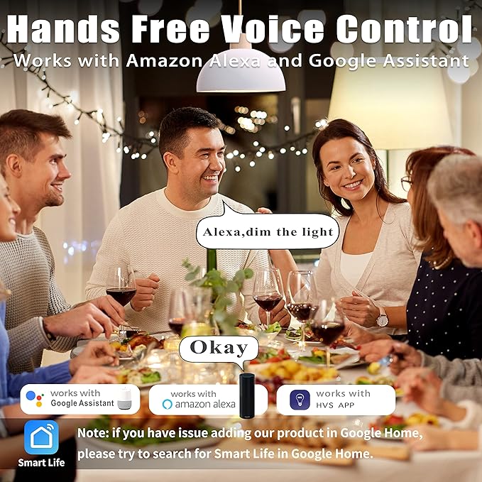 Homevenus HVS Smart Light Bulbs, 9W Equivalent 60W A19 E26 RGBW Color Changing LED Light Bulbs, Music Sync App 2.4GHz WiFi Dimmable Tunable White Work with Alexa Google Assistant, 2 Pack