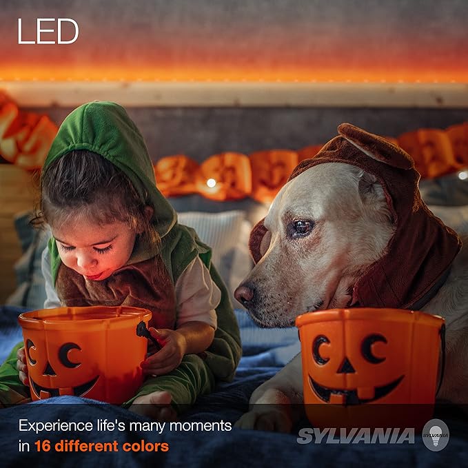 Sylvania 32ft RGB Flexible Light Strip Starter Kit, 16 Dimmable Colors with IR Remote Control, Power Adapter, Clips, White - 1 Pack (65636)